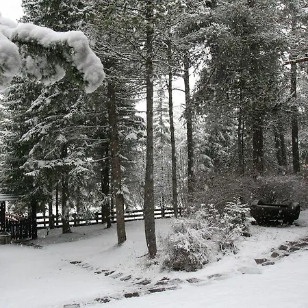 Dolomites Hut Bed & Breakfast 3*